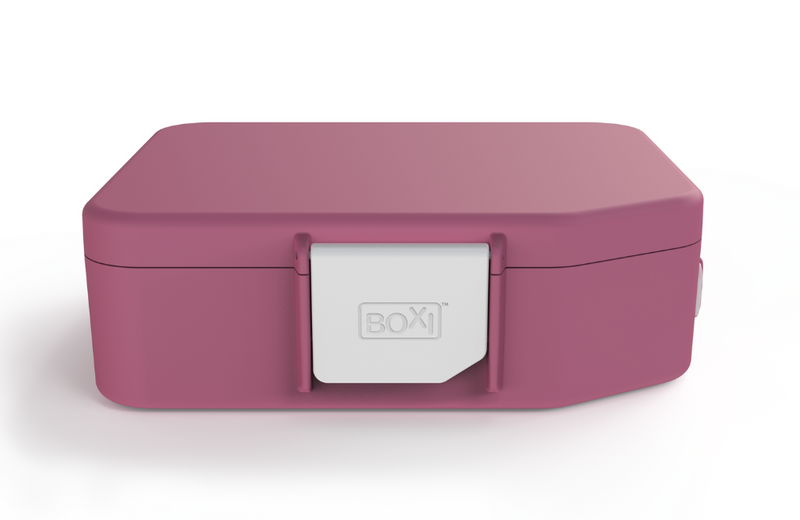 Boxi Lunchbox with ice panel - Pomegranate Crush